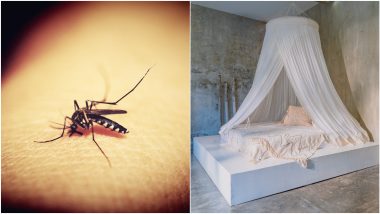 Mosquito Nets: पाकिस्तानची मलेरिया नियंत्रण मोहिम, भारताकडून खरेदी करणार  6 दशलक्ष मच्छरदाण्या- रिपोर्ट