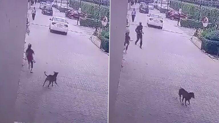 Dog Attack Continues in Noida: नोएडात भटक्या कुत्र्यांची दहशत कायम, गोल्डन पाम्प सोसायटीत मुलीवर हल्ला (Watch Video)