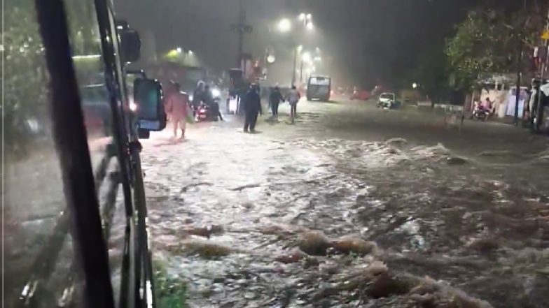 Hingoli Heavy Rain: हिंगोलीत शेकडो हेक्टरवरील पिकांचे नुकसान; बळीराजा पुन्हा संकटात