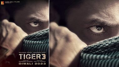 Tiger 3: सलमान खान आणि कतरिना कैफ अभिनीत टायगर 3 चित्रपटाचे प्रदर्शन लांबणीवर, जाणून घ्या नवी तारीख