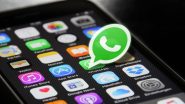 WhatsApp New Update: आता तुमच्या आवाजात ठेवा WhatsApp Status, व्हॉट्सअॅपचा भन्नाट नवा फिचर