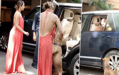 Malaika Arora in Backless Dress: मलायका अरोराने बॅकलेस ड्रेसमध्ये दाखवला किलर लूक; यूजर्स म्हणाले, तू पडदा घातला आहेस का?