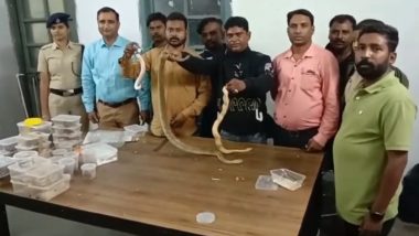 Viral Video: झारखंडमधील निलांचल एक्स्प्रेसच्या जनरल डब्यातून 50 कोटींहून अधिक किमतीचे अजगर, दुर्मिळ प्रजातीचे साप, गिरगिट आदींसह प्रवास करणाऱ्या महिलेला अटक
