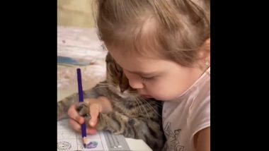 Little Girl Viral Video: मांजर रंगलंय चित्र काढण्यात, लहान मुलगी झाली शिक्षिका; व्हिडिओ सोशल मीडियावर व्हायरल