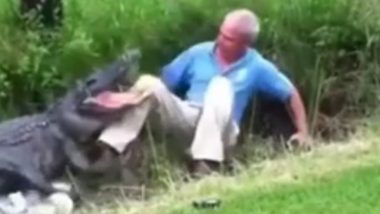 Crocodile Attack Man Viral Video: मगर पकडायला गेला, मगरमिठीत अडकला; थोडक्यात वाचला बापुडा (पाहा व्हिडिओ)