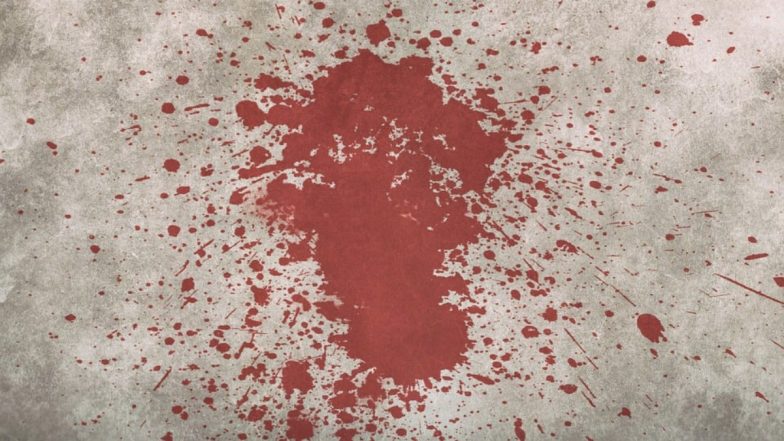 Sister Kills Elder Brother: अल्पवयीन बहिणीकडून मोठ्या भावाची हत्या, छत्तीसगड येथील धक्कादायक घटना