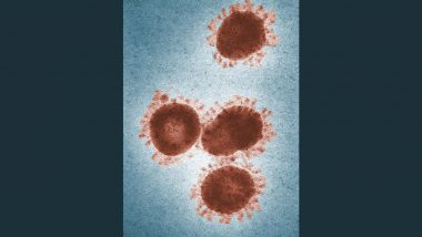 Zombie Virus Sparks Pandemic Fear: झोंबी व्हायरस COVID-19 नंतर ठरणार आव्हान? घ्या जाणून