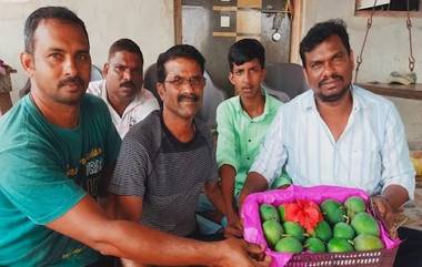 First Mango Of The Season: मुंबईच्या वाशी मार्केट मध्ये दाखल झाला यंदाच्या मोसमातला पहिला देवगड हापूस आंबा!