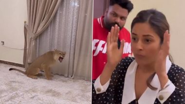 Shehnaaz Gill Viral Video: खोलीत सिंहाचा छावा पाहून शहनाज गिलची उडाली धांदल; पहा व्हिडिओ