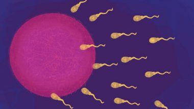 World's First Sperm Race: लॉस एंजेलिसमध्ये आयोजित केली जाणार जगातील पहिली 'शुक्राणू शर्यत'; स्पर्म करणार एकमेकांशी स्पर्धा, जाणून घ्या सविस्तर