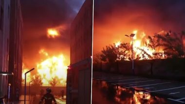 China Fire Video: चीनमधील हेनान प्रांतातील कारखान्याला भीषण आग, अपघातात 36 जणांचा मृत्यू (Watch Video)