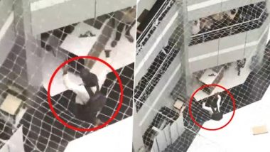 Mantralaya मध्ये 6व्या मजल्यावरून एका व्यक्तीने मारली उडी; सुदैवाने जाळीत पडल्याने बचावला (Watch Video)