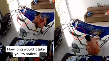 Viral Video: बाळाच्या पाळण्याखाली भला मोठा अजगर, हलणारा पाळणा बघून अजगराने तोंड वर काढतं..;अंगावर काटा आणणारा व्हिडीओ