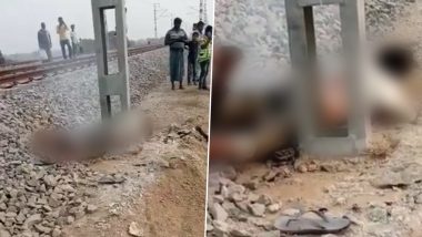 Uttar Pradesh: प्रयागराजमध्ये व्हिडिओ बनवण्यासाठी तरुण चढला हाय-टेन्शन इलेक्ट्रिक पोलवर, पुढे जे झाले ते पाहून बसेल धक्का, पाहा व्हिडीओ