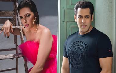 Salman Khan ची एक्स गर्लफ्रेंड Somy Ali ने अभिनेत्यावर केले गंभीर आरोप; म्हणाली, 'सिगारेटने चटके देऊन वर्षानुवर्षे केली मारहाण'