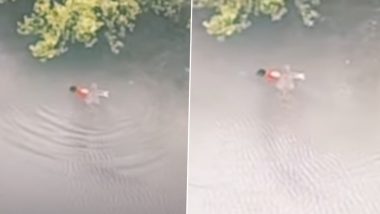 Viral Video: वडिलांसोबत मासेमारीस गेलेल्या चिमुकल्याला मगरीने खाल्लं, काळीज पिळवटून टाकणारा व्हिडीओ