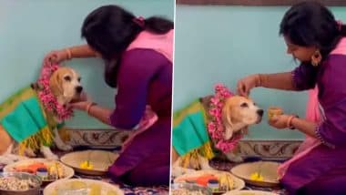 Baby Shower For Pet Dog: महिलेने तिच्या पाळीव कुत्रीसाठी केला बेबी शॉवरचा कार्यक्रम, व्हिडिओ व्हायरल