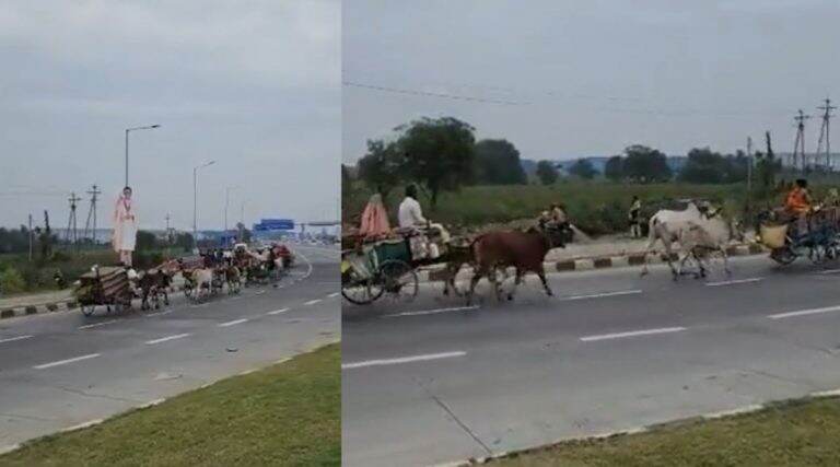 Watch: उद्घाटनानंतर दुसऱ्याच दिवशी समृद्धी महामार्गावर धावल्या बैलगाड्या, व्हिडीओ व्हायरल