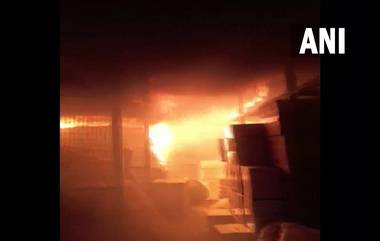 Fire Broke Out In Delhi: दिल्लीतील झिलमिल औद्योगिक परिसरातील कारखान्याला आग, फायर ब्रिगेडच्या 11 गाड्या घटनास्थळी दाखल