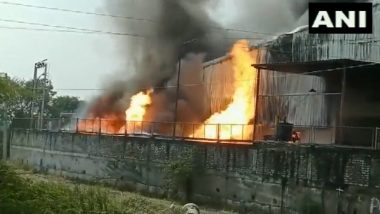 Fire breaks out in Pune Video: भामाशिरूर शहरातील भीमा कोरेगाव परिसरात एअर फिल्टर कंपनीला भीषण आग; पाहा व्हिडिओ