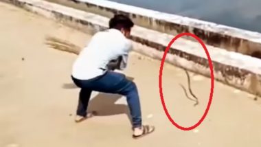 Snake Viral Video: सफाई कर्मचाऱ्याने खराट्याने उडवला साप, व्हिडिओ सोशल मीडियावर व्हायरल