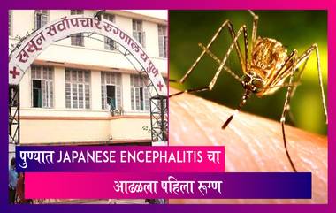 कोरोना, गोवरनंतर Japanese Encephalitis या आजाराने वाढवली चिंता, पुण्यात आढळला एक रुग्ण