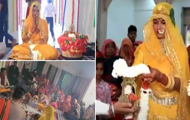 Girl Marries to Lord Vishnu: राजस्थान मधील जयपूर मध्ये तरूणी झाली थेट भगवान विष्णूंसोबत विवाहबद्ध (Watch Video)