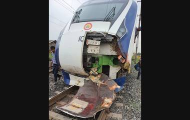 Animals Died on Rail Tracks: मागील तीन वर्षांत 73 हत्ती आणि 4 सिंहांसह 63 हजार प्राणी रेल्वे रुळ अपघातात चिरडले: कॅग रिपोर्टमध्ये धक्कादायक खुलासा