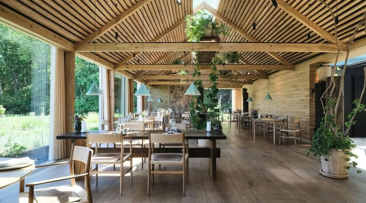 World&rsquo;s Best Restaurant: लवकरच बंद होणार जगातील सर्वोत्कृष्ट रेस्टॉरंट Noma, जाणून घ्या कारण