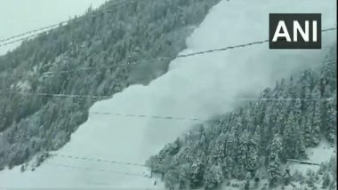 Avalanche Video: हिमस्खलन कसे होते? पाहा थरारक व्हिडिओ