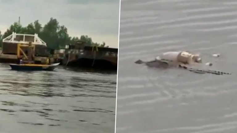 Crocodile Returned the Body of the Drowned Child: मगरीने शोध पथकाला परत केला नदीत बुडालेल्या बालकाचा मृतदेह