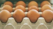 48 eggs at Rs 49! ऑनलाईन 49 रुपयांमध्ये 48 अंडी खरेदी करण्याची ऑफर; महिलेने गमावले 48 हजार रुपये, जाणून घ्या सविस्तर