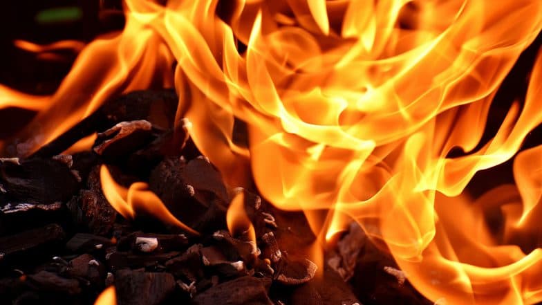 Mumbai Fire: घाटकोपर परिसरातील आर सिटी मॉलजवळील इमारतीच्या 15 व्या मजल्यावर आग; अग्निशमन दलाच्या गाड्या घटनास्थळी दाखल