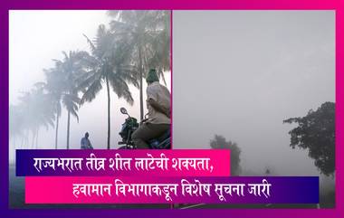 Maharashtra Winter Update: महाराष्ट्रात थंडीची लाट, राज्यात तीव्र शीत लाटेची शक्यता