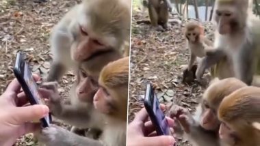 Kiren Rijiju Shares Funny Video: माकड वापरतंय स्मार्टफोन, स्क्रिन करतंय स्क्रोल; व्हिडिओ पाहून नेटीझन्सचे मनोरंजन