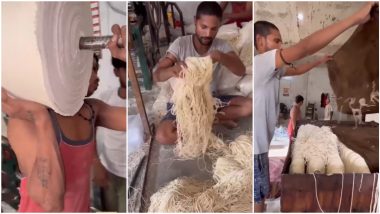Noodles Viral Video: अरेरे! नूडल्स असे बनवतात? व्हिडिओ पाहाल तर कदाचित खाण्याचीही इच्छा मरेल