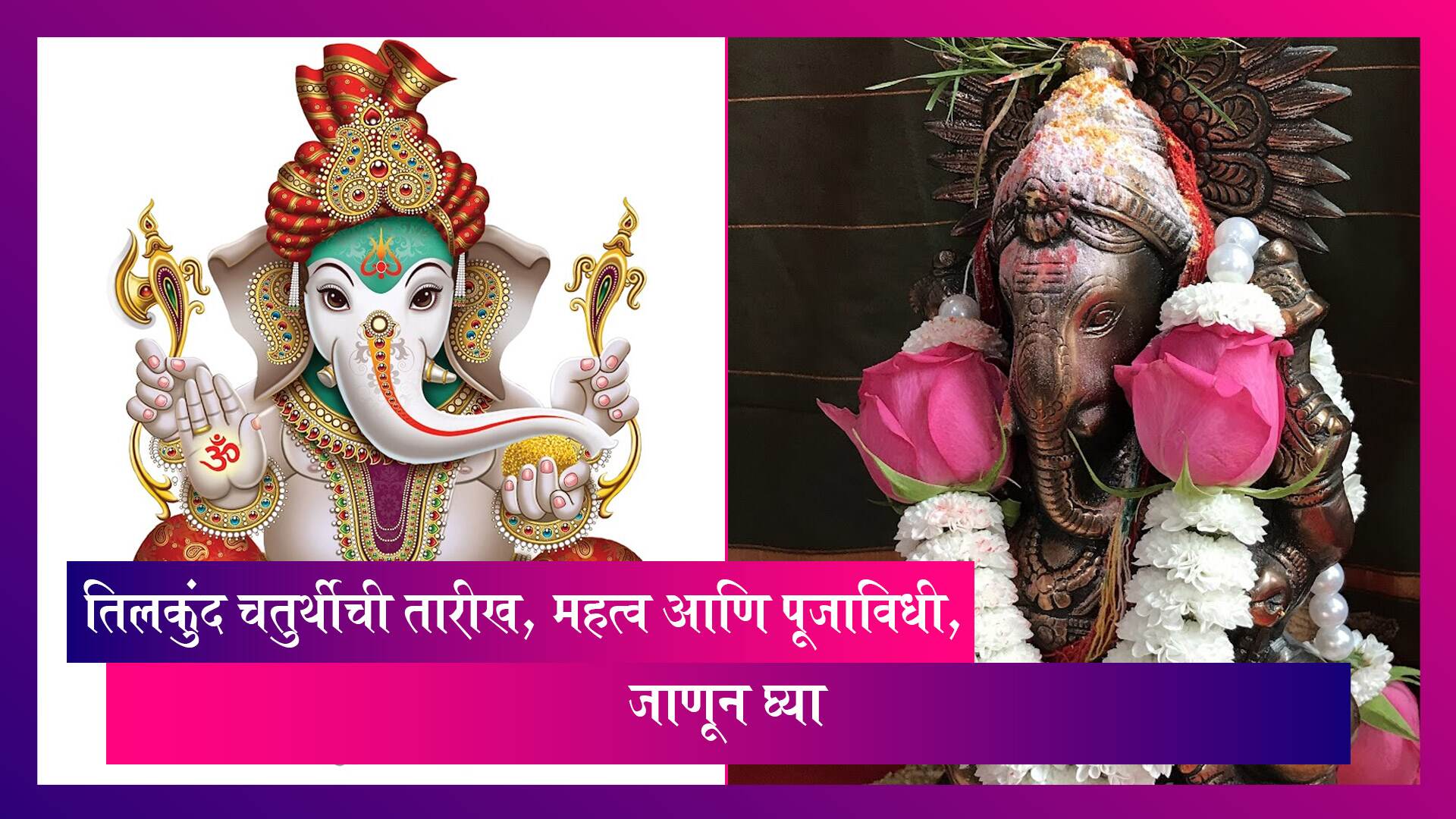 Tilkund Chaturthi January 2023 Date:तिलकुंद चतुर्थीचे महत्व आणि पूजाविधी, जाणून घ्या