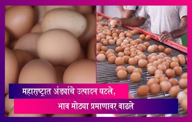 Eggs Shortage In Maharashtra: राज्यात प्रतिदिन तब्बल 1 कोटी अंड्यांची कमतरता, भावही वाढले