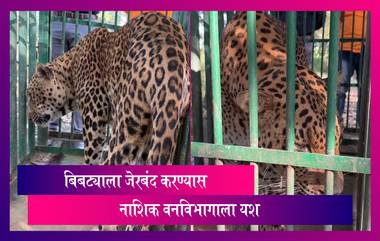 Nashik: बिबट्याला जेरबंद करण्यास नाशिक वनविभागाला यश