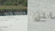 Pune: आळंदी मध्ये वाहणार्‍या इंद्रायणी नदी वर विषारी फेस Watch Video)