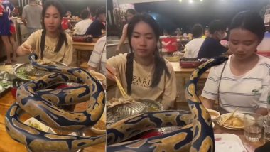 Girls Dining With Python: डायनिंग टेबलवर अजगरासोबत दोन मुलींनी केले जेवण; पहा धक्कादायक व्हिडीओ (Watch Video)