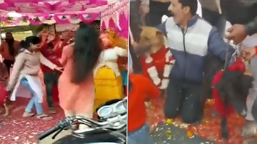Dogs 'Married' In Aligarh: नवरदेव Tommy झाला  Jelly सोबत विवाहबद्ध; मंत्रपठण, सात फेरे ते वर्‍हाड्यांचा डान्स पहा लग्नाचा गजब थाट  (Watch Viral Video)