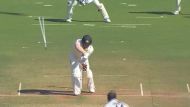 IND vs AUS 1st Test: मोहम्मद सिराज आणि शमीची घातक गोलंदाजी, पहा डेव्हिड वॉर्नर-उस्मान ख्वाजांची कशी घेतली विकेट (Watch Video)