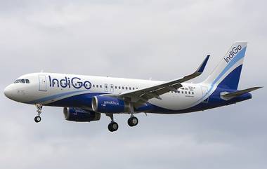 बँकॉकहून मुंबईला येणा-या Indigo च्या विमानात एका व्यक्तीचा मृत्यू