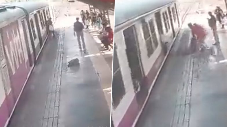 Mumbai: बोरिवली स्टेशनवर चालत्या ट्रेममध्ये चढताना महिला प्लॅटफॉर्मवर कोसळली; आरपीएफ पोलीसांनी वाचवला महिलेचा जीव, Watch Video