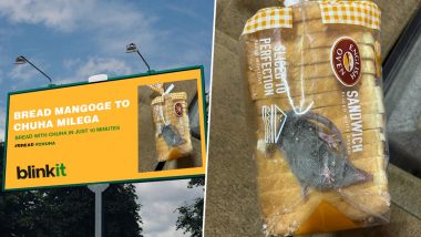 Mouse In Bread: ऑनलाइन मागवला ब्रेड, पॅकेटमध्ये सापडला जिवंत उंदीर, कंपनीने दिले 'असं' उत्तर