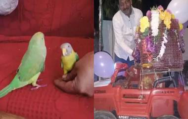 Parrot and Myna Wedding: ऐकावे ते नवलंच! चक्क पोपट आणि मैनेचा लावला विवाह; थाटामाटात पार पडला सोहळा