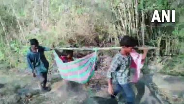 Andhra Pradesh: महिलेला प्रसूतीनंतर झोळीमधून रुग्णालयात नेण्यात आले, मुलाचा मृत्यू (Watch Video)