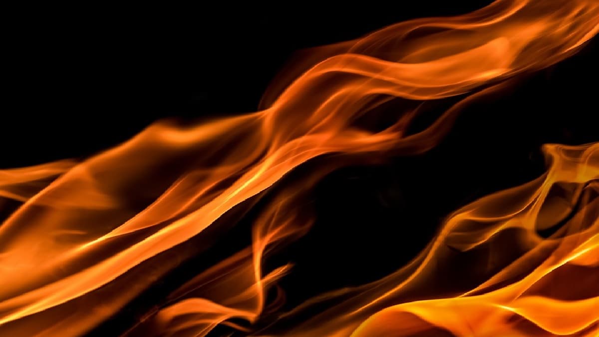 Mumbai Fire: दक्षिण मुंबई मध्ये जसलोक हॉस्पिटल जवळ Riyaz Gangji Libas boutique या डिझायनर बुटिकला आग (Watch Video)