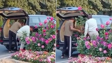 Gurugram: G20 शिखर परिषदेसाठी लावलेल्या फुलांच्या कुंड्यांची आलिशान गाडीतून चोरी (Watch Video)